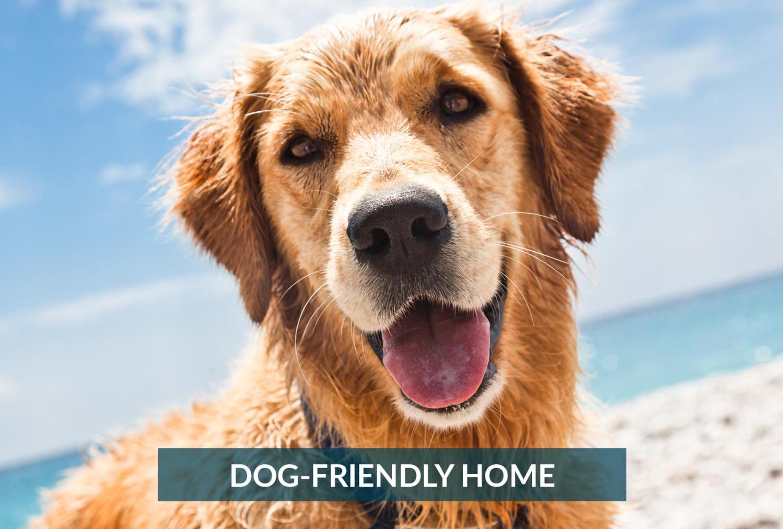 5508 Southern Comfort Dog Friendly Shared Pool Kill Devil Hills Dış mekan fotoğraf
